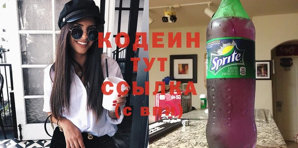 хмурый Гусиноозёрск
