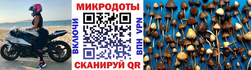 Купить  Ржев  Псилоцибиновые грибы MAGIC MUSHROOMS 